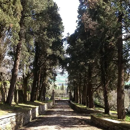 Bed & Breakfast Cesari Tiberi *